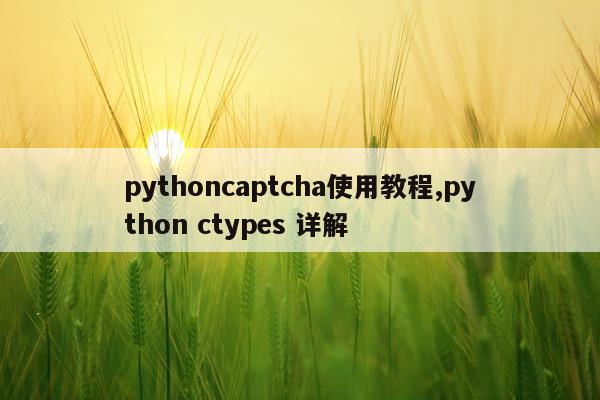 pythoncaptcha使用教程,python ctypes 详解