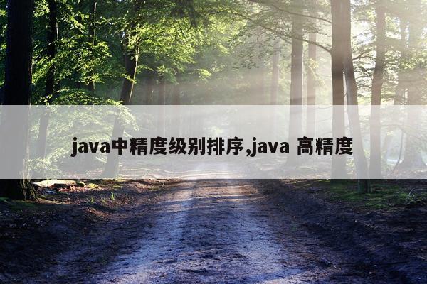 java中精度级别排序,java 高精度