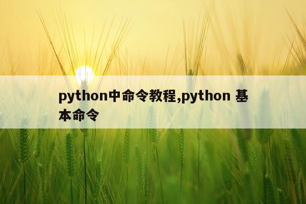python中命令教程,python 基本命令