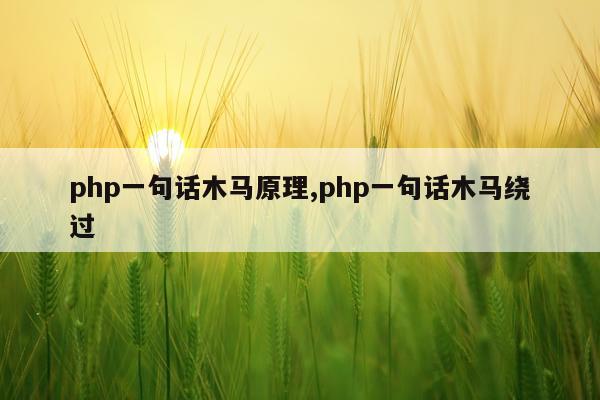 php一句话木马原理,php一句话木马绕过