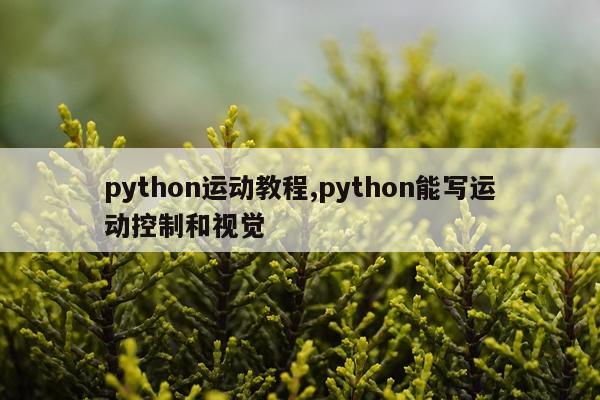 python运动教程,python能写运动控制和视觉
