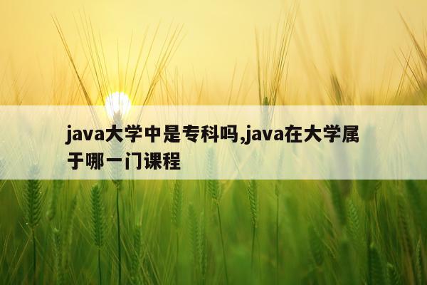 java大学中是专科吗,java在大学属于哪一门课程