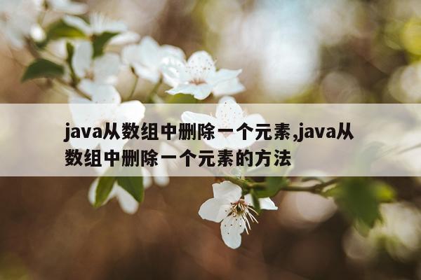 java从数组中删除一个元素,java从数组中删除一个元素的方法