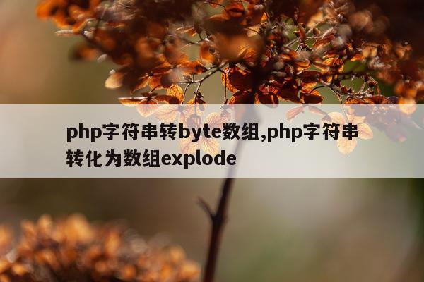 php字符串转byte数组,php字符串转化为数组explode