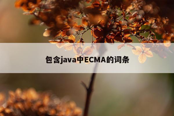 包含java中ECMA的词条