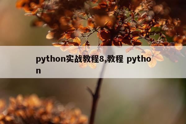 python实战教程8,教程 python