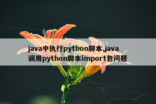 java中执行python脚本,java调用python脚本import包问题