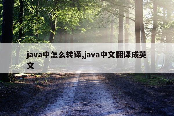 java中怎么转译,java中文翻译成英文