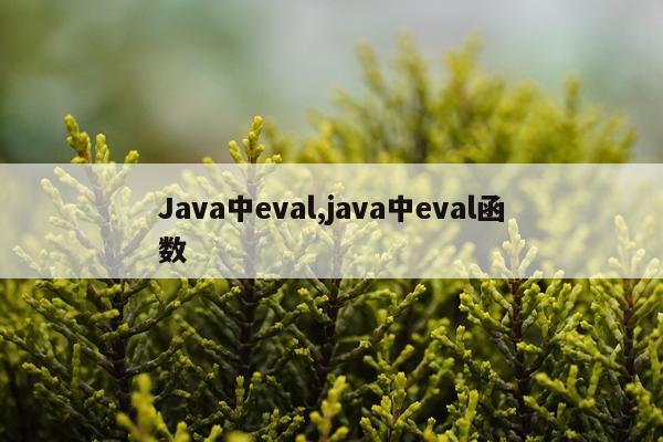 Java中eval,java中eval函数