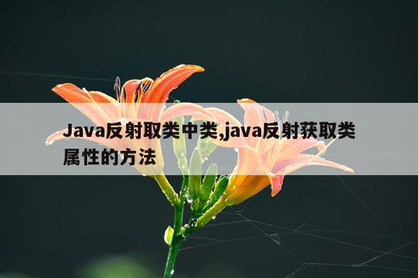 Java反射取类中类,java反射获取类属性的方法