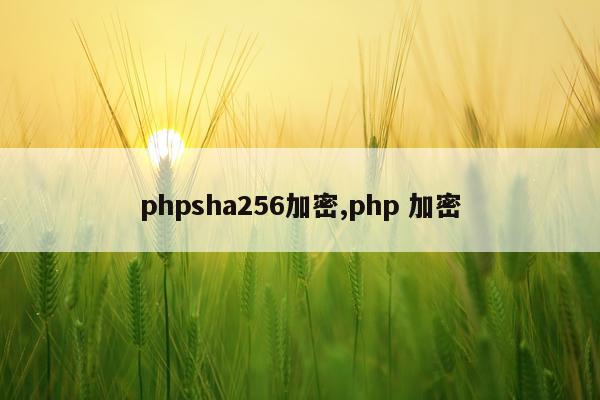 phpsha256加密,php 加密