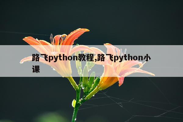 路飞python教程,路飞python小课