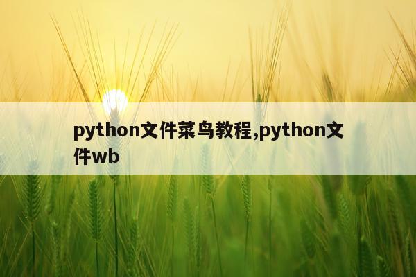 python文件菜鸟教程,python文件wb