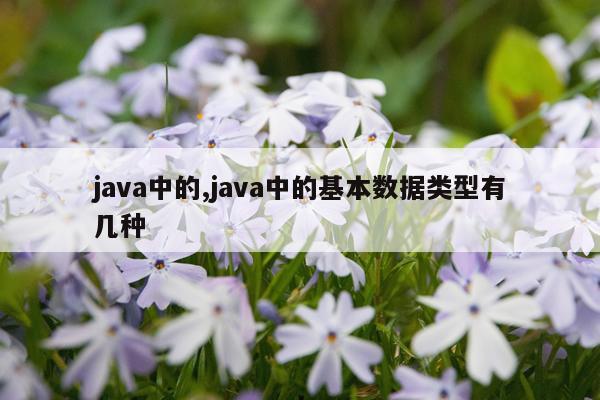 java中的,java中的基本数据类型有几种