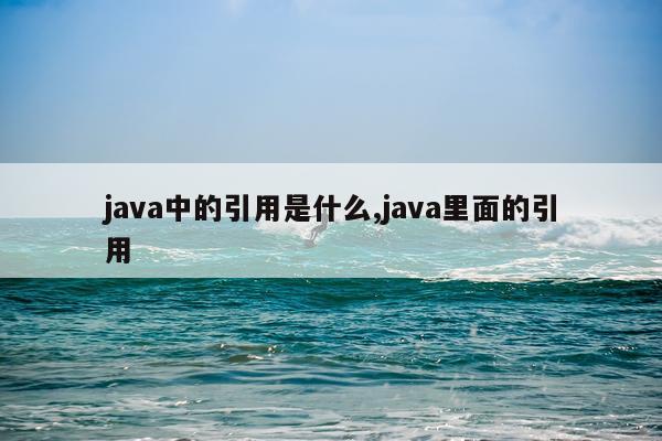 java中的引用是什么,java里面的引用