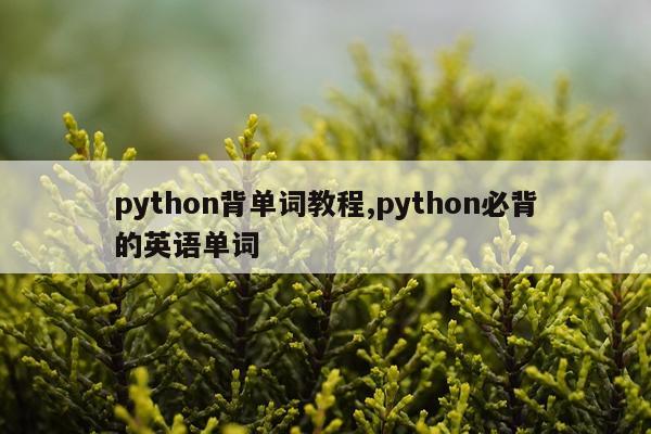 python背单词教程,python必背的英语单词
