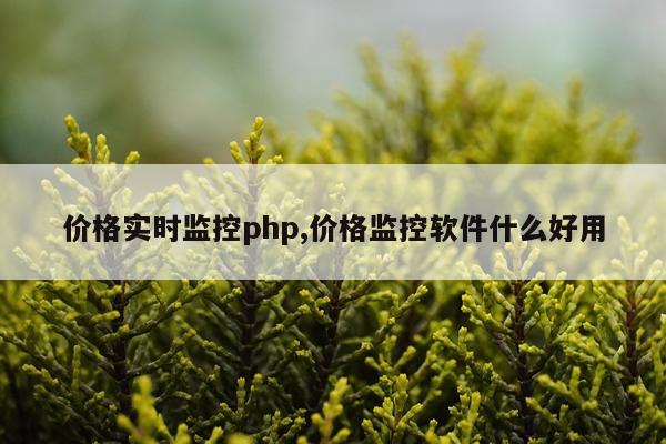 价格实时监控php,价格监控软件什么好用