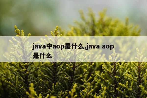 java中aop是什么,java aop是什么