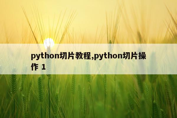 python切片教程,python切片操作 1