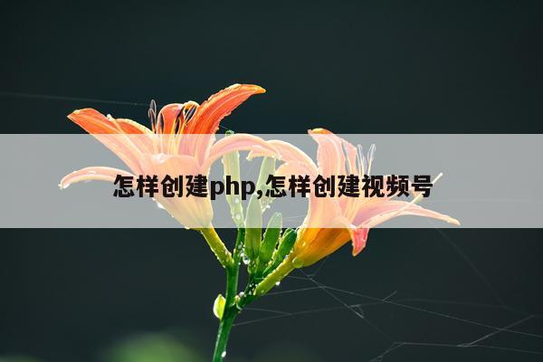 怎样创建php,怎样创建视频号