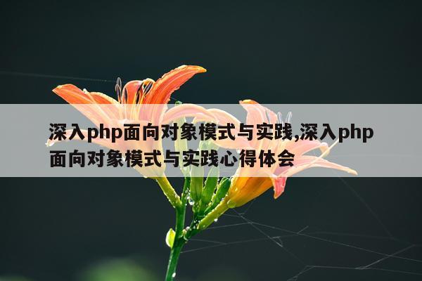 深入php面向对象模式与实践,深入php面向对象模式与实践心得体会