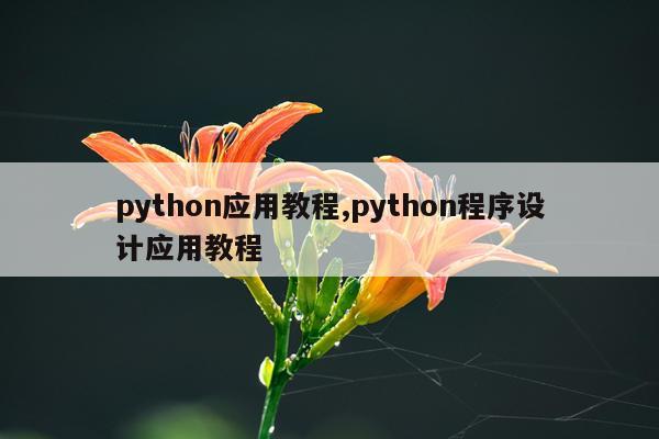python应用教程,python程序设计应用教程