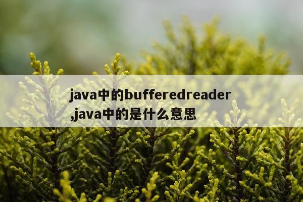 java中的bufferedreader,java中的是什么意思