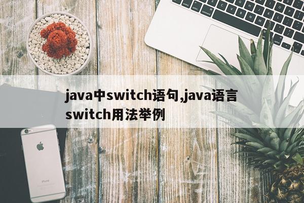 java中switch语句,java语言switch用法举例