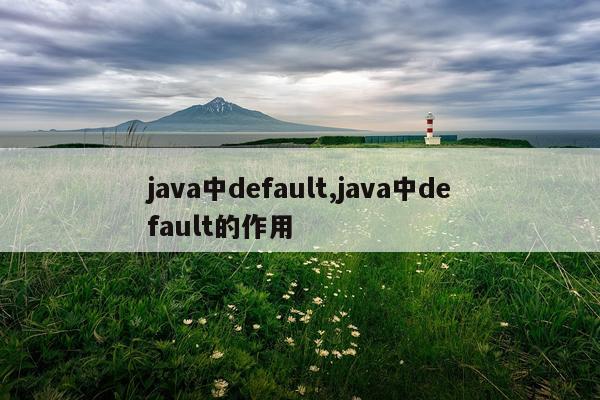 java中default,java中default的作用
