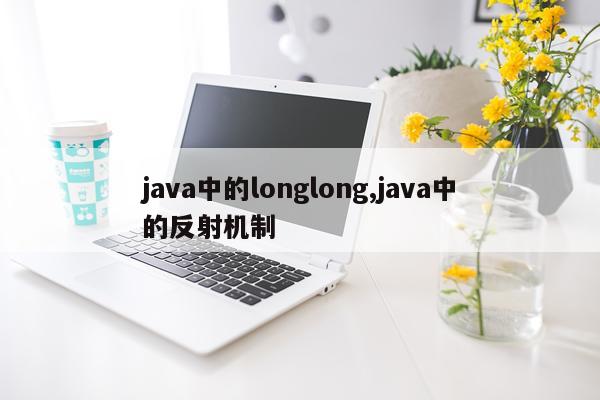 java中的longlong,java中的反射机制
