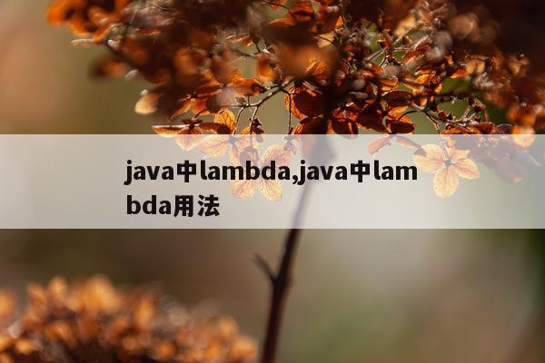 java中lambda,java中lambda用法