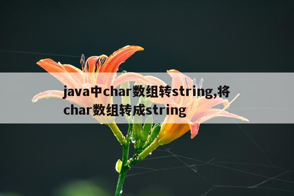 java中char数组转string,将char数组转成string