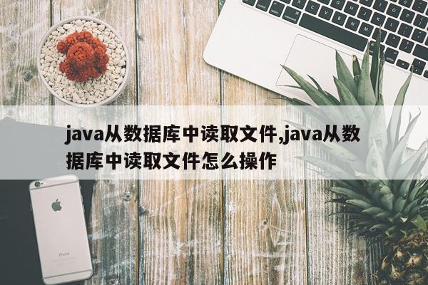 java从数据库中读取文件,java从数据库中读取文件怎么操作