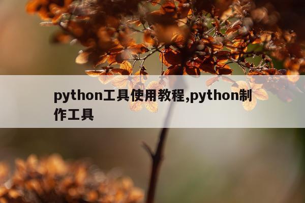 python工具使用教程,python制作工具