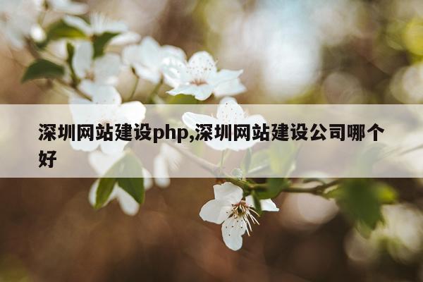 深圳网站建设php,深圳网站建设公司哪个好