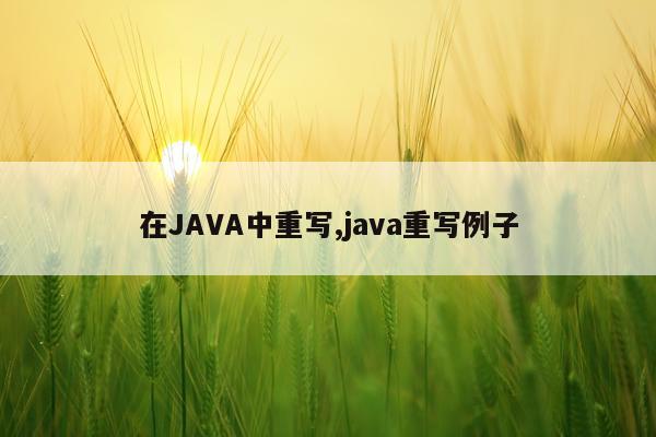 在JAVA中重写,java重写例子