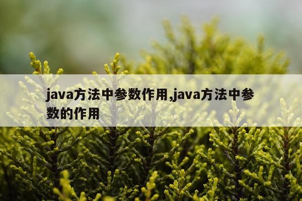 java方法中参数作用,java方法中参数的作用