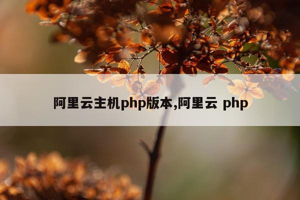 阿里云主机php版本,阿里云 php