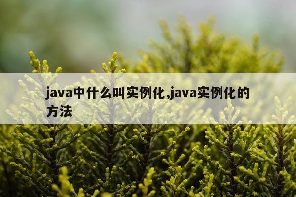 java中什么叫实例化,java实例化的方法