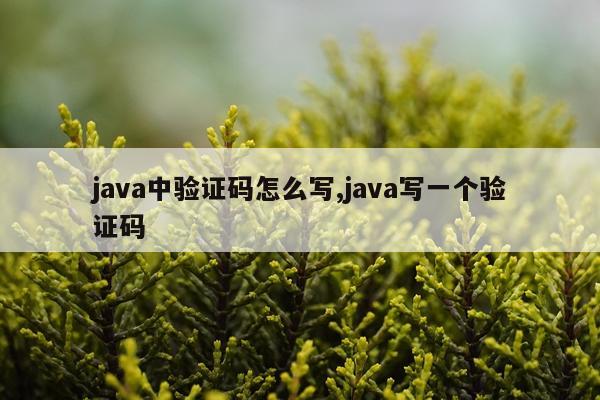 java中验证码怎么写,java写一个验证码
