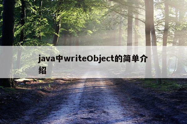 java中writeObject的简单介绍