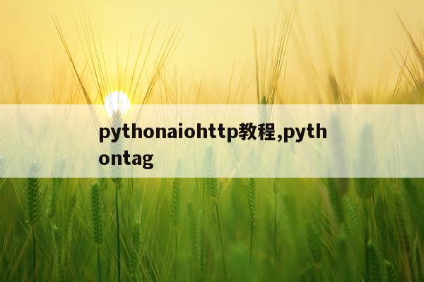 pythonaiohttp教程,pythontag