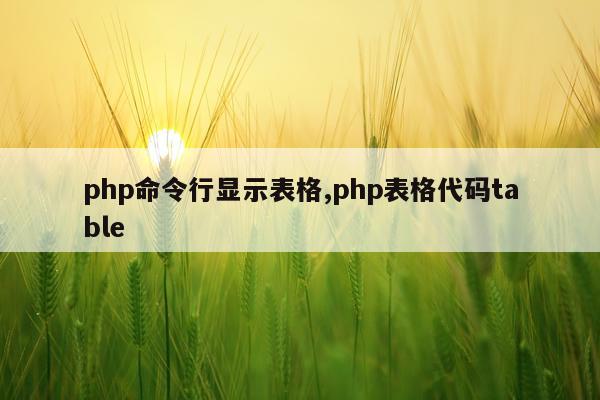 php命令行显示表格,php表格代码table