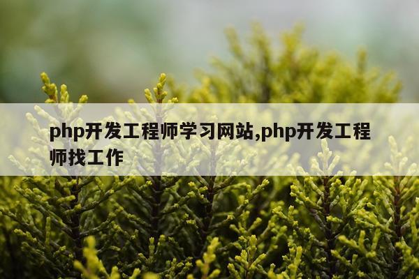 php开发工程师学习网站,php开发工程师找工作