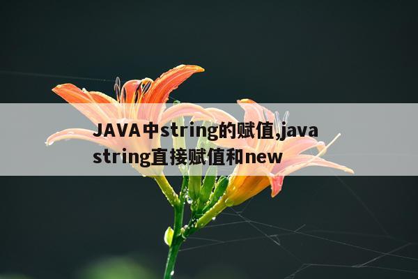 JAVA中string的赋值,java string直接赋值和new