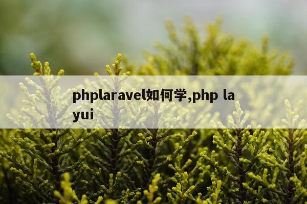 phplaravel如何学,php layui