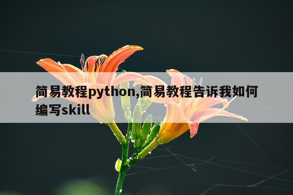 简易教程python,简易教程告诉我如何编写skill