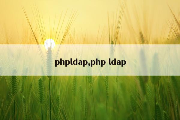 phpldap,php ldap