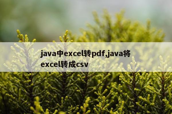 java中excel转pdf,java将excel转成csv