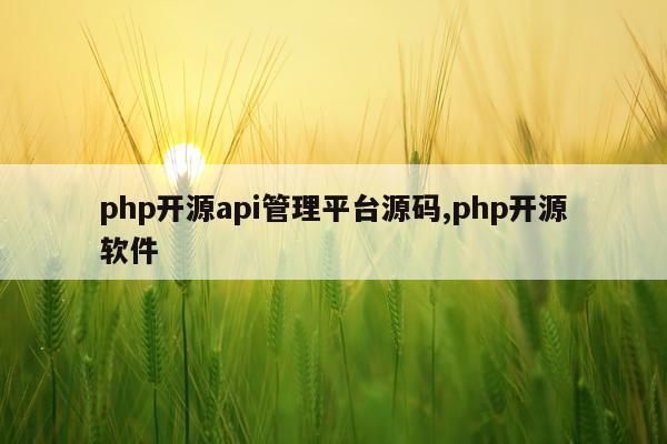 php开源api管理平台源码,php开源软件